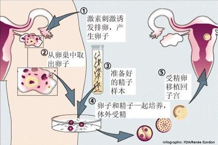 男科主任